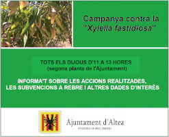 Altea pone en marcha una campaña informativa contra la ‘’Xylella fastidiosa’’