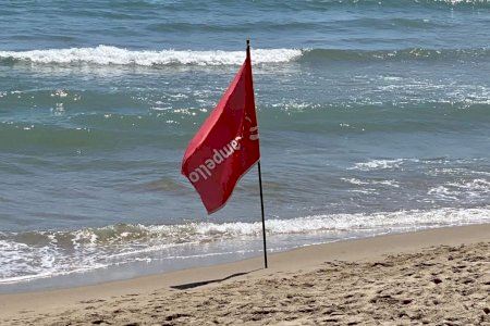 VÍDEO | Alerta bañistas: La 'resaca' que puedes sufrir este verano mientras te bañas en la costa valenciana