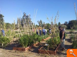 Todavía quedan plazas para el próximo curso de agricultura ecológica en Mutxamel
